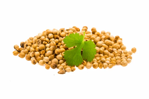 Coriander